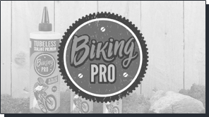 Biking Pro, Diseño de tienda online + Imagen corporativa + Packaging. Prestashop. Responsive design