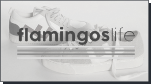 Flamingoslife, calzado vegano - Elche. Desarrollo de tienda online en Shopify.