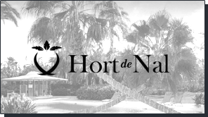 Hort de Nal, sitio web para Hotel Boutique en Elche. Diseño tienda online y habitaciones en wordpress. Responsive.